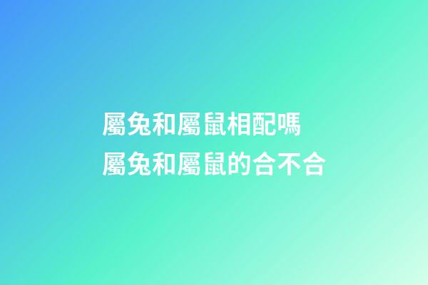 屬兔和屬鼠相配嗎 屬兔和屬鼠的合不合-第1張-觀點(diǎn)-玄機(jī)派